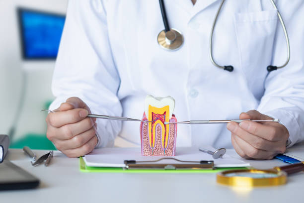 Best Emergency Root Canal Treatment in Clyde, OH